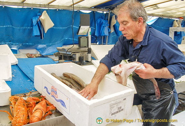 Fishmonger packing up his fish